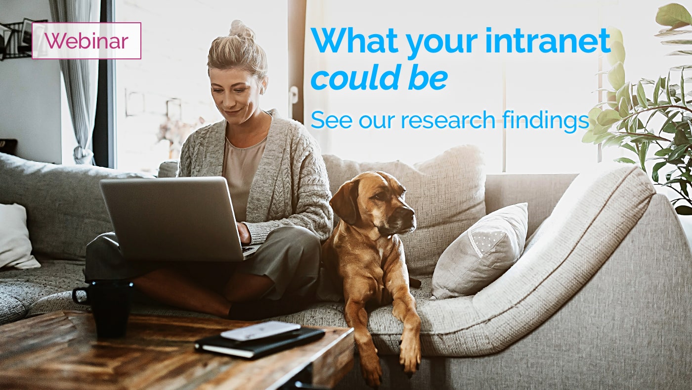 Woman on a couch with a dog using a laptop. The woman, not the dog.