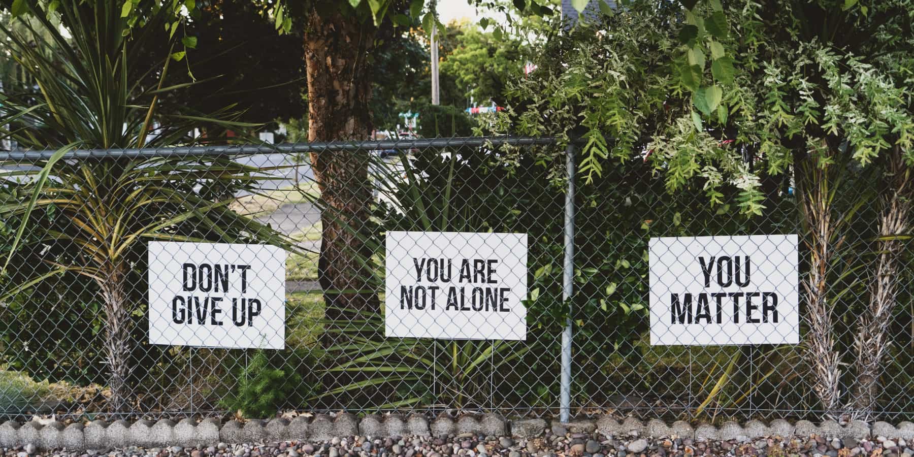 Three simple signs on a chain fence against plants. Dont give up. You are not alone. You matter.